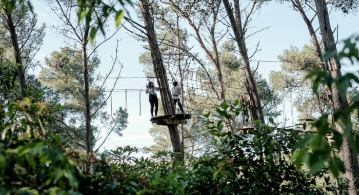 Explorando a Natureza e o Espírito de Equipe: A Aventura do Arborismo em Família e em Grupo no Adventure Park